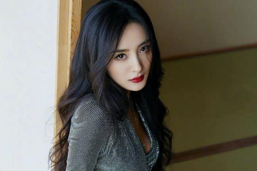 Vida e carreira de Yang Mi